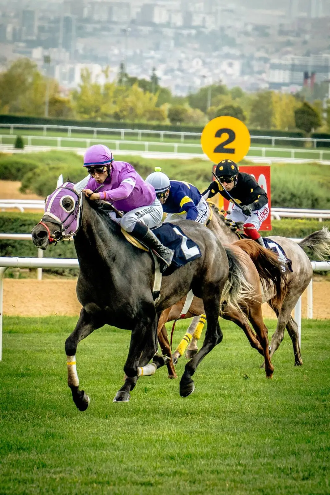 Cheval et jockey en tête de course