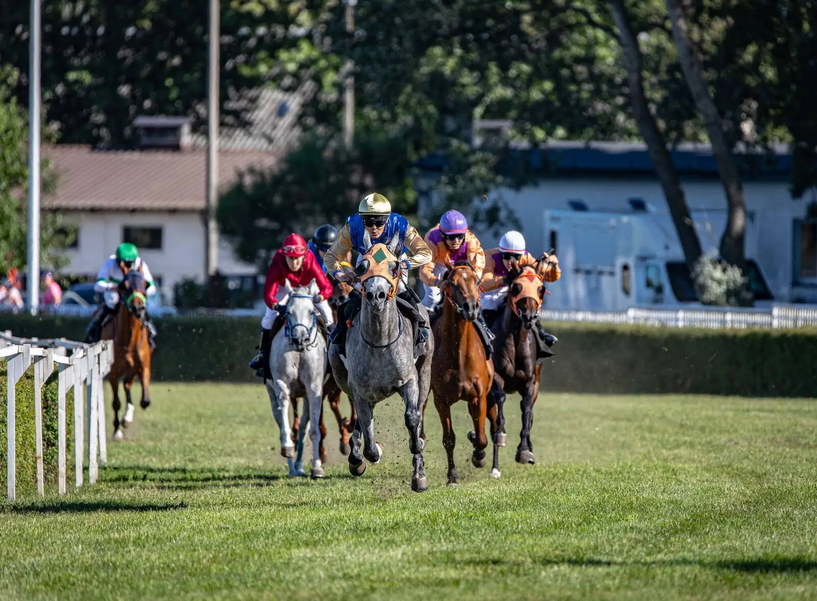 Peloton de chevaux en pleine course