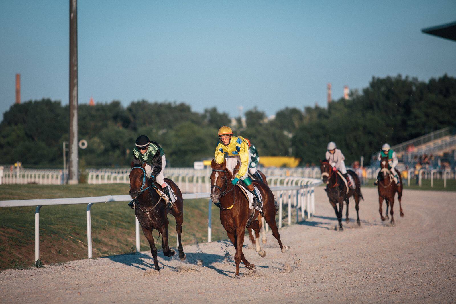 Chevaux sur la piste au soleil couchant